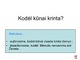 Kodel kosminiai kunai kinta