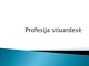 Stiuardesės, skrydžio palydovo profesija