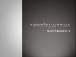 Skrydžių vadovo profesija 1