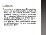 Skrydžių vadovo profesija 3