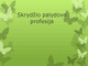 Skrydžio palydovo profesija 