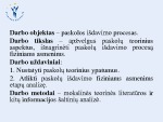 Paskolų išdavimo fiziniams asmenims proceso analizės pristatymas 2
