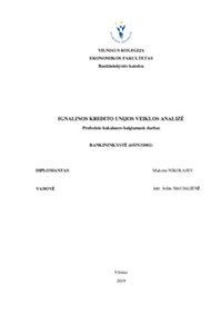 Ignalinos kredito unijos veiklos analizė 1