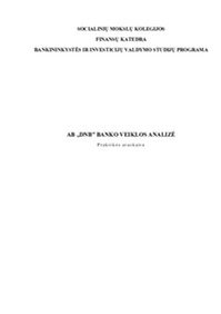 AB „DNB‟ banko veiklos analizė 1