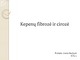 Kepenų fibrozė ir cirozė