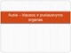 Ausis - klausos ir pusiausvyros organas skaidrės
