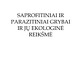 Saprofitiniai ir parazitiniai grybai 