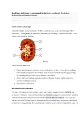 Medžiagų šalinimas ir osmoreguliacija 1