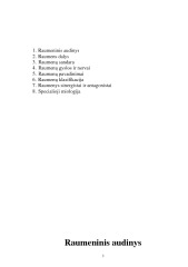 Raumenys referatas 3