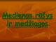 Medienos rūšys