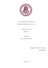 Stresas kaip žalingas veiksnys referatas 1
