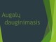 Augalų dauginimasis skaidrės