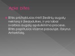 Gyvūno piristaikymas aplinkoje 3