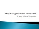 Mitybos tinklai ir grandinės