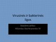 Virusinės ir bakterinės ligos
