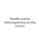 Dumble esančių mikroorganizmų savybių tyrimas