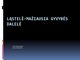 Ląstelė - mažiausia gyvybės dalelė