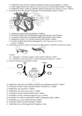 Kraujotaka testas 3