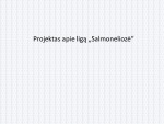 Projektas apie ligą „Salmoneliozė“ 1