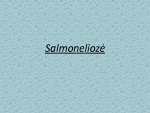 Projektas apie ligą „Salmoneliozė“ 2