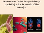 Projektas apie ligą „Salmoneliozė“ 3
