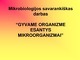 Gyvame organizme esantys mikroorganizmai Mikrobiologijos savarankiškas darbas