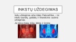 Inkstų ir šlapimo pūslės uždegimai 2