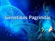 Genetikos pagrindai skaidrės