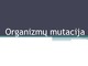 Organizmų mutacija