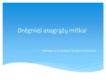 Dregnėji atogražu miškai 1