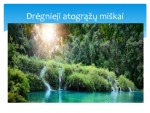 Dregnėji atogražu miškai 2