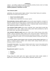 Epitelio rūšys konspektas 2