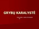Grybų karalystė pristatymas