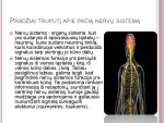 Nervai ir nervinio impulso sklidimas – sinapsė 2