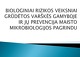 Biologiniai rizikos veiksniai grūdėtos varškės gamyboje ir jų prevencija maisto mikrobiologijos pagrindu