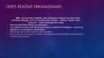 Organizmų kūno dangos 2