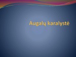 Augalų karalystė biologijos skaidrės 1