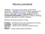 Karalysčių ypatumai 3