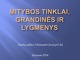 Mitybos tinklai, grandinės ir lygmenys