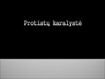 Protistų karalystė biologijos skaidrės 1