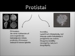 Protistų karalystė biologijos skaidrės 3