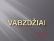 Vabzdžiai projektas 