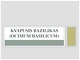 Kvapusis bazilikas Ocimum basilicum