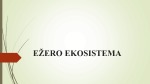 Ežero ekosistema projektas 1