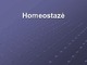 Homeostazė skaidrės