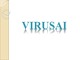 Virusai projektas (2)