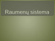 Raumenų sistema projektas 