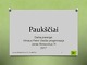 Paukščiai projektas (3) 