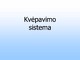 Kvėpavimo sistema skaidrės