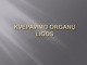 Kvėpavimo organų ligos biologijos skaidrės